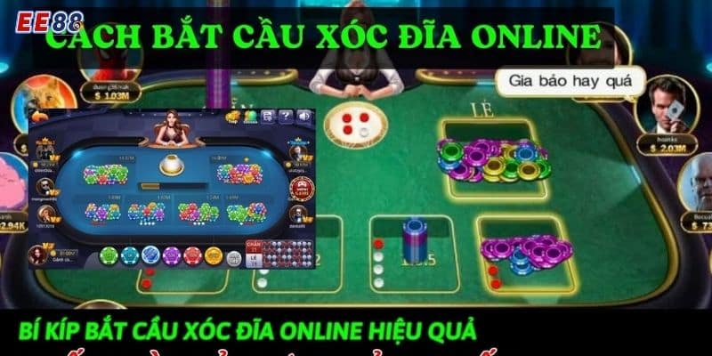 Khám phá chiến thuật và cách bắt cầu xóc đĩa hiệu quả